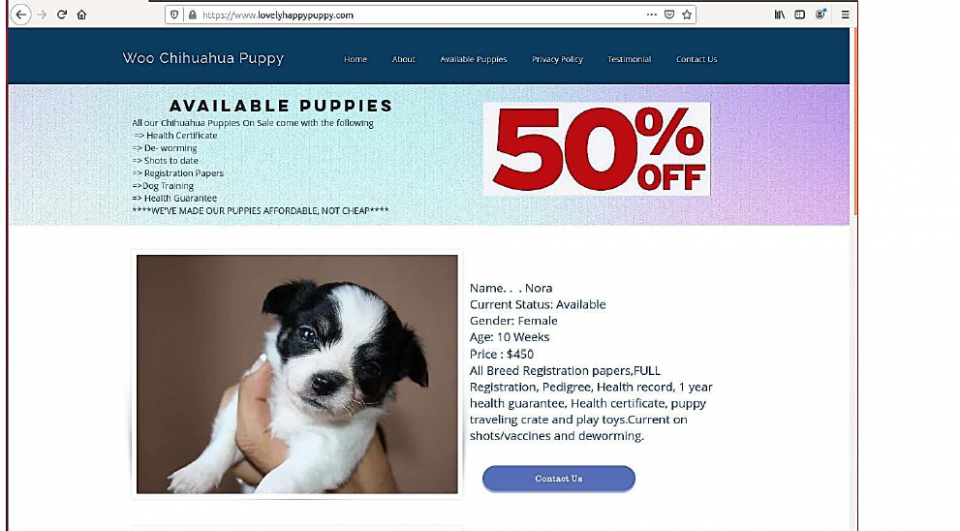 Puppy Scam Website