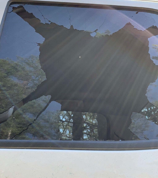 Photo of shattered window of BLM vehicle