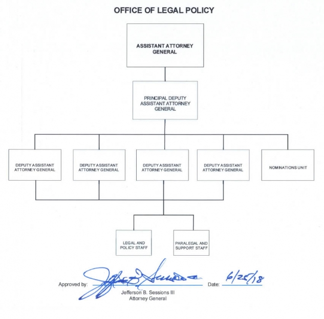 OLP Organization Chart - Link to text version below OLP Organization Chart - Link to text version below