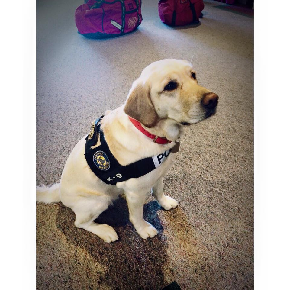 Iowa State Fire Marshal K-9 Pogo