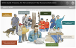 Launch the CTAS Online tool