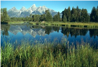 Schwabachers Landing & Teton Mountains, Photo Courtesy of the National Park Service